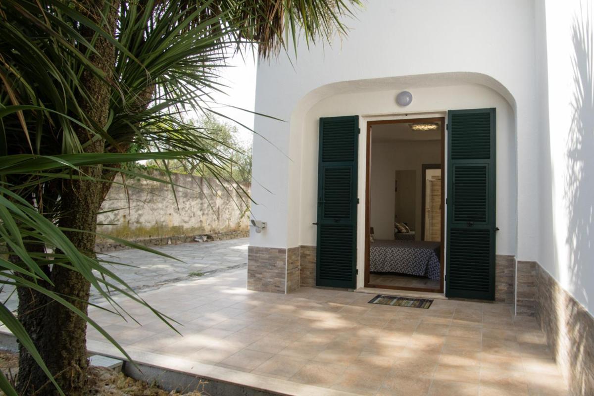 B&B Zac House โตยราโน ภายนอก รูปภาพ